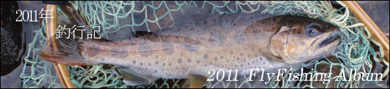 2011�N�ލs�L